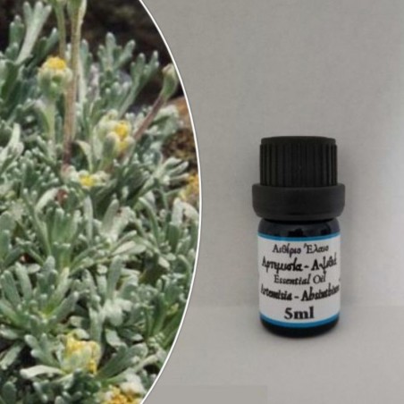 Artemisia-Avistia essential oil